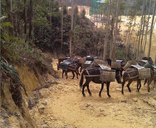 广州马帮山路运输