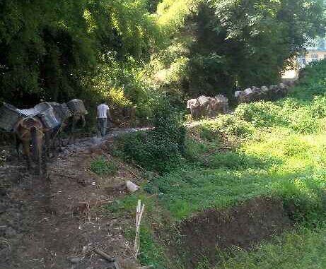 广州马帮运输队