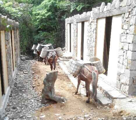 广州马队运输队