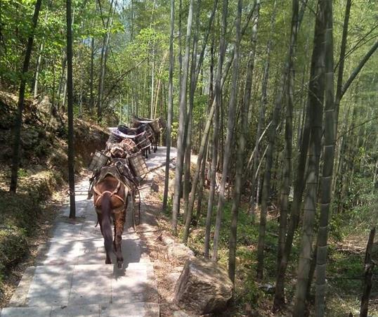 广州山路马队运输