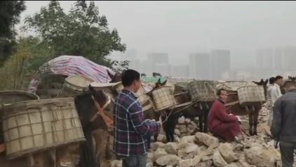 广州骡马山区运输