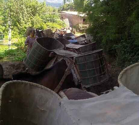 广州骡马运输队