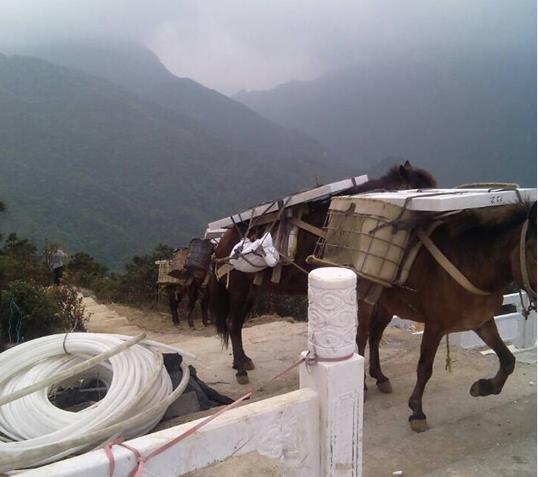 广州山区马帮运输
